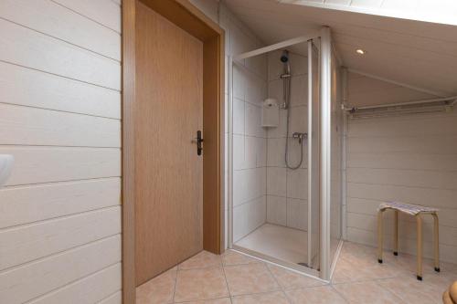 a walk in shower in a bathroom with a door at Ferienhaus Am Sägewerk in Malschwitz