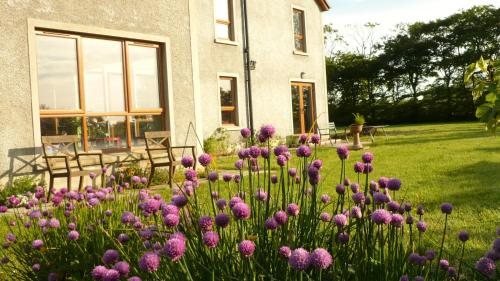 Zahrada ubytování Maghernahar House B&B
