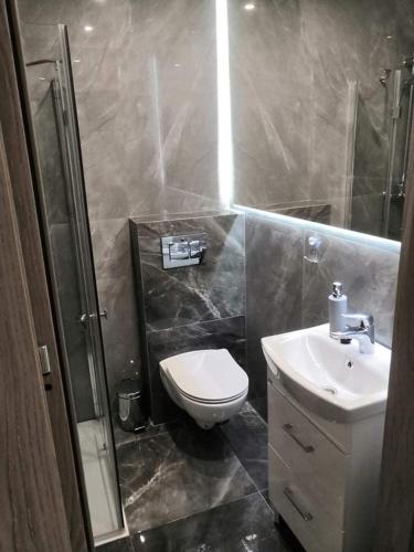 a bathroom with a toilet and a sink and a shower at Domek na zaciszu in Szeligi