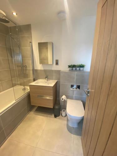 La salle de bains est pourvue de toilettes, d'un lavabo et d'une douche. dans l'établissement Whitstable Townhouse by the Sea, à Whitstable