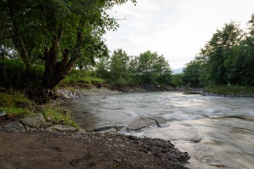 a river with rocks and trees on the side at Вудхарт2 in Yasinya