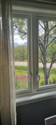 a window with a view of a field of flowers at Micke o Ritas stuga in Björkliden