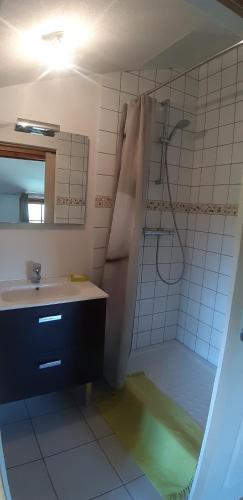 uma casa de banho com um chuveiro e um lavatório. em La ferme du Bouton d'Or em Vendranges