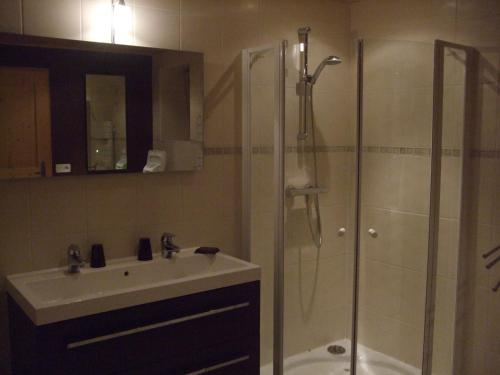 a bathroom with a shower and a sink and a shower at Chalet montagne 11 p Grand Massif 100 m télécabine in Morillon