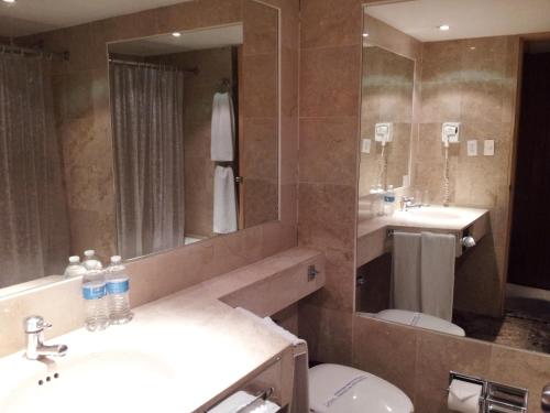 墨西哥城的住宿－斯特拉瑪麗斯酒店，一间带水槽、卫生间和镜子的浴室