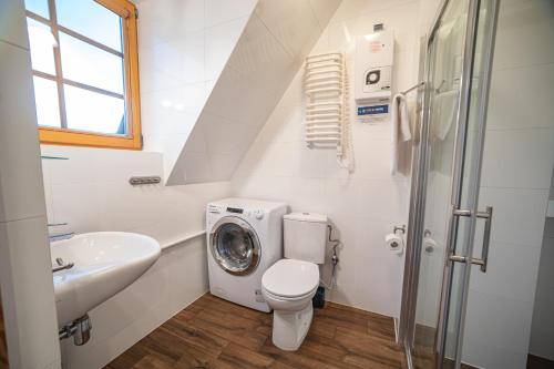 a bathroom with a toilet and a sink and a washing machine at Tatry Home in Kościelisko