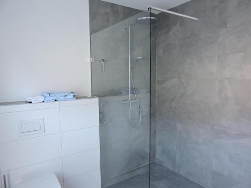 a shower with a glass door in a bathroom at Ferienwohnung an der Gustavsburg in Homburg