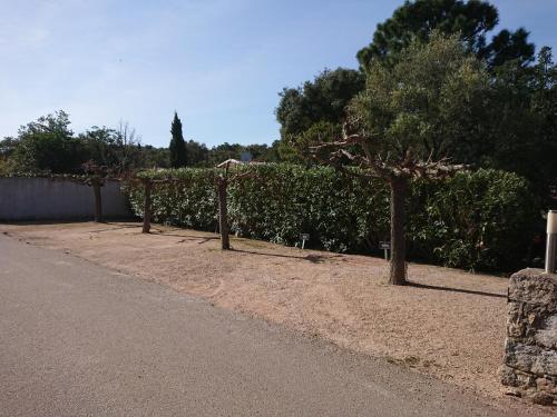 a tree sitting on the side of a road at Villa Pinarello climatisée avec piscine chauffée in Sainte-Lucie de Porto-Vecchio
