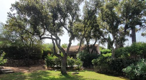 a house with trees in front of a yard at Villa Pinarello climatisée avec piscine chauffée in Sainte-Lucie de Porto-Vecchio