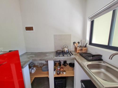 a small kitchen with a counter and a sink at Roodekloof in Montagu