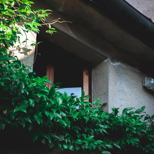an open door of a building with green plants at Casa Anna "a lovely home in Tuscany" in Colle Val D'Elsa