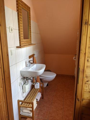 a bathroom with a sink and a mirror on the wall at Ferienhaus an der Fichtelbergbahn in Cranzahl