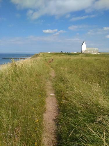 a path through a grassy field with a white barn at Rikke og Franks Svineri in Lemvig