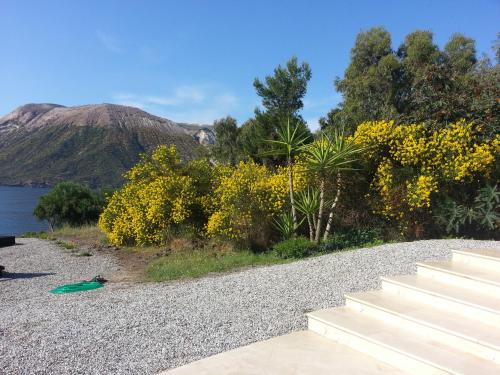 Paisaje cerca de este apartamento
