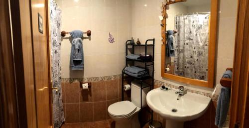 a bathroom with a sink and a toilet and a mirror at La Sabina in Castillejo de Robledo