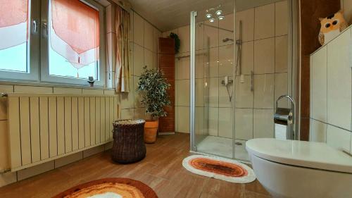 uma casa de banho com um chuveiro e um lavatório. em FreiRaum em Obersinn