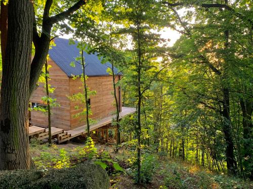 a wooden cabin in the middle of a forest at Na Drzewie in Staniszów