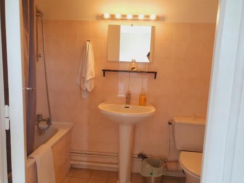 a bathroom with a sink and a toilet and a mirror at Ferme équestre & Chambres d'hôtes Gateau Stables proche Guédelon in Saint-Amand-en-Puisaye