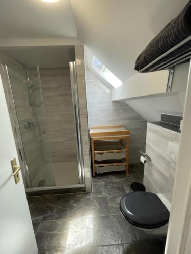 a small bathroom with a shower and a toilet at Ferienwohnung Einstein in Feldkirch