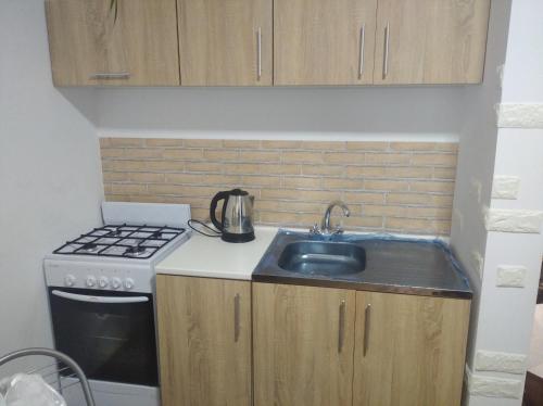 a kitchen with a sink and a stove at Апартамент в Новобудові Стрийська Автовокзал in Lviv