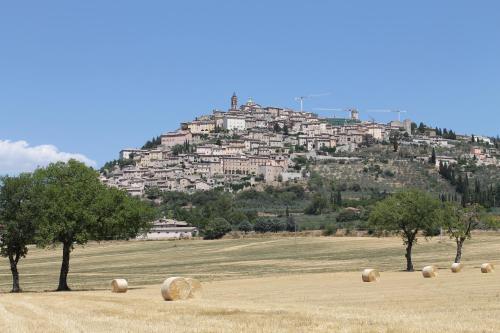 a hill with a town on top of a field at Residenza Sant'Emiliano in Trevi
