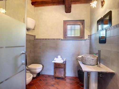 a bathroom with a toilet and a sink at Agriturismo Dominus Domenico in Cortona