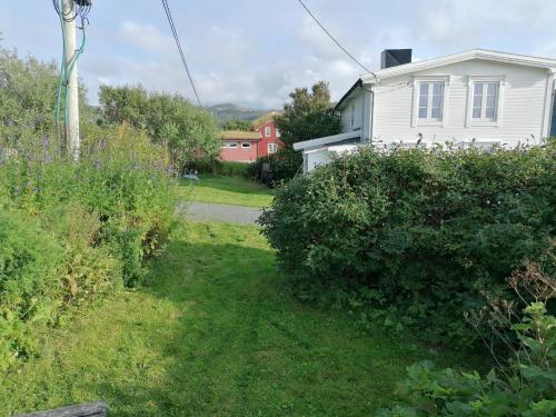 Taman di luar Nøss Panorama - Andøy