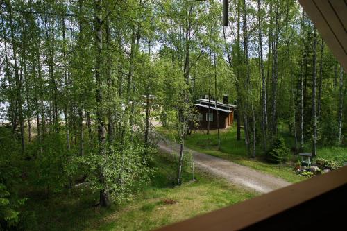 Peisaj natural din apropierea acestei case de vacanță