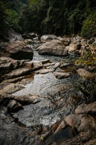 Gambar di galeri bagi EcoLodge Paraty di Paraty
