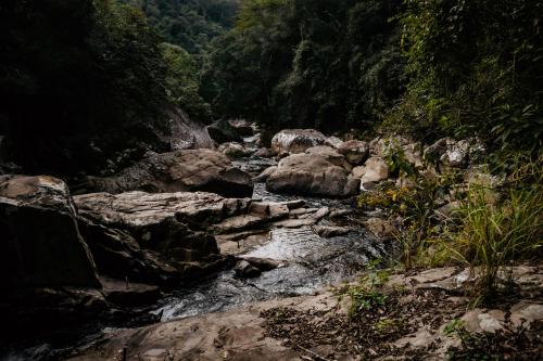 Gambar di galeri bagi EcoLodge Paraty di Paraty