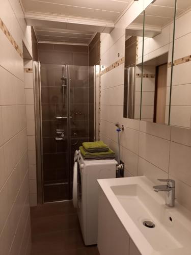 La salle de bains est pourvue d'un lavabo et d'une douche. dans l'établissement Ferienwohnung Christa, à Graz