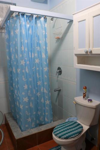 a bathroom with a blue shower curtain with a toilet at Ocean Views and Hospitable Hosts in Castries