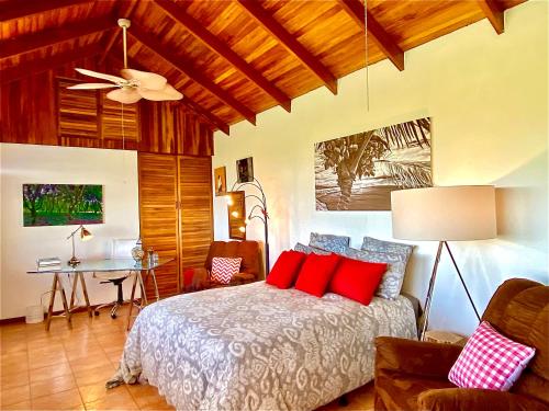 a bedroom with a bed with red pillows at Magic Mountain Views Studio in Atenas