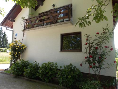 Galeriebild der Unterkunft Apartments Smirnov in Drežnik Grad