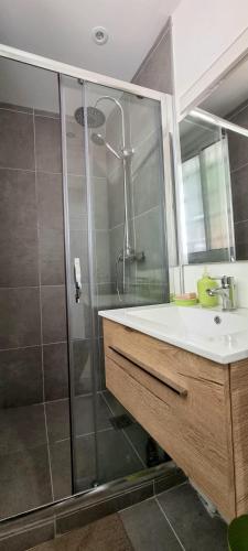 une salle de bain avec douche et lavabo dans l'établissement STUDIO SIMONE - TERRASSE ET JARDIN - TV - WIFI, à Toulouse
