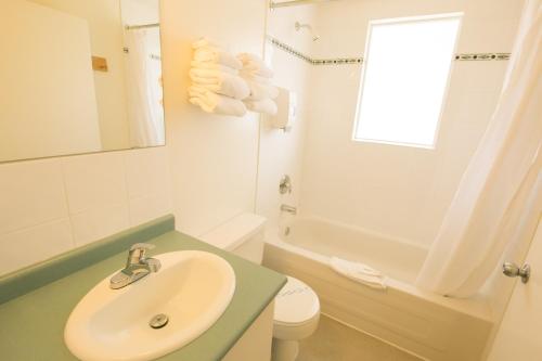 a bathroom with a sink and a toilet and a window at Mountain Springs Motel in Radium Hot Springs