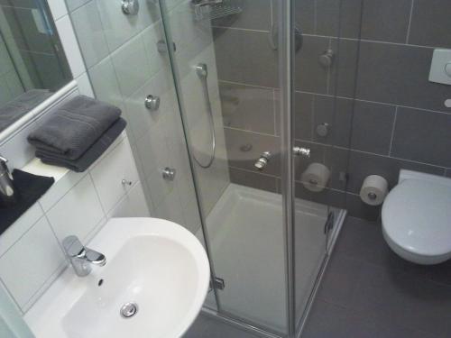 a bathroom with a shower and a sink and a toilet at Landgasthaus zum Seysingshof in Bad Colberg