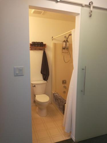 a bathroom with a toilet and a shower at Village Center 2 bedroom Condo in Big White