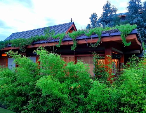 Taman di luar Paradise Private Zen Studios