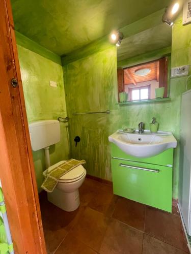 bagno verde con servizi igienici e lavandino di Baita Liverpool a Vieste