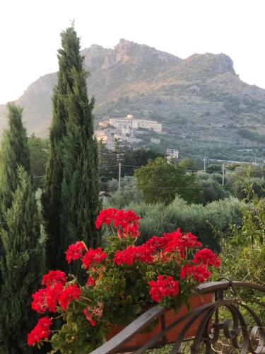 un balcón con flores rojas y una montaña en Villa Anna!, en Castrocielo