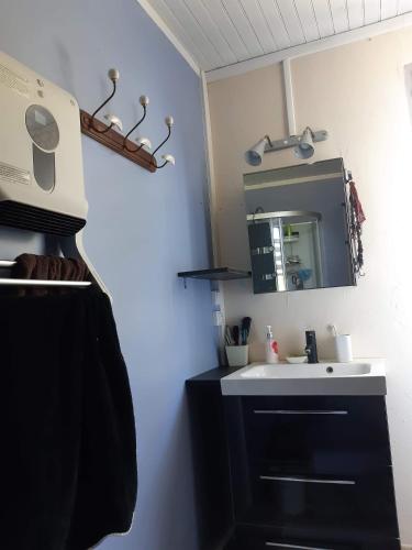 ein Bad mit einem Waschbecken und einem Spiegel in der Unterkunft Chambre à Ineuil in Ineuil