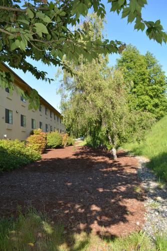 a dirt road next to a building with trees at Super 8 by Wyndham Port Angeles at Olympic National Park in Port Angeles