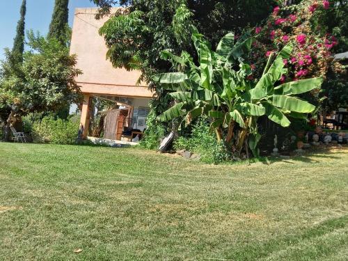 Taman di luar צימר בודד בגליל העליון