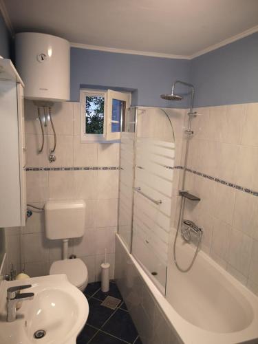 a bathroom with a sink and a toilet and a shower at Villa Zoe Privlaka-Zadar in Privlaka