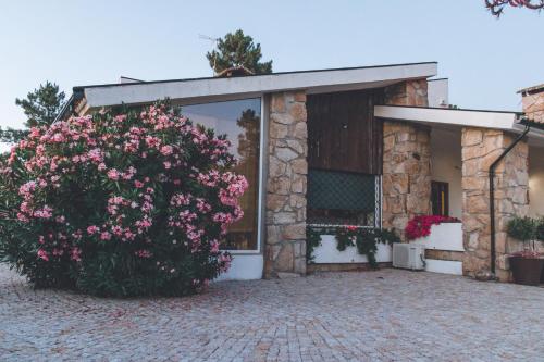 a building with a large bush with pink flowers at Casa da Ni - Douro in Arcos
