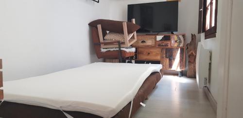 Televisyen dan/atau pusat hiburan di Maisonnette atypique en triplex au calme hyper-centre place du Ralliement