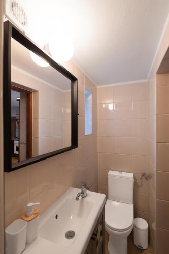 a bathroom with a sink and a toilet and a mirror at Quinta da Tia in Baiões