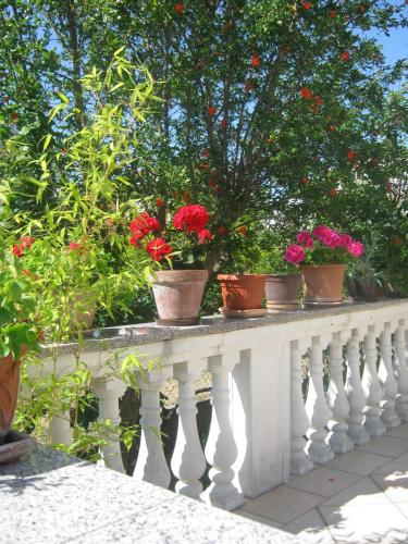 Apartments Grzunov