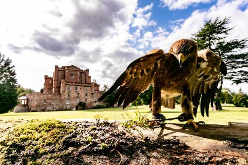two birds standing on a log in front of a castle at Dalhousie Castle Hotel in Bonnyrigg
